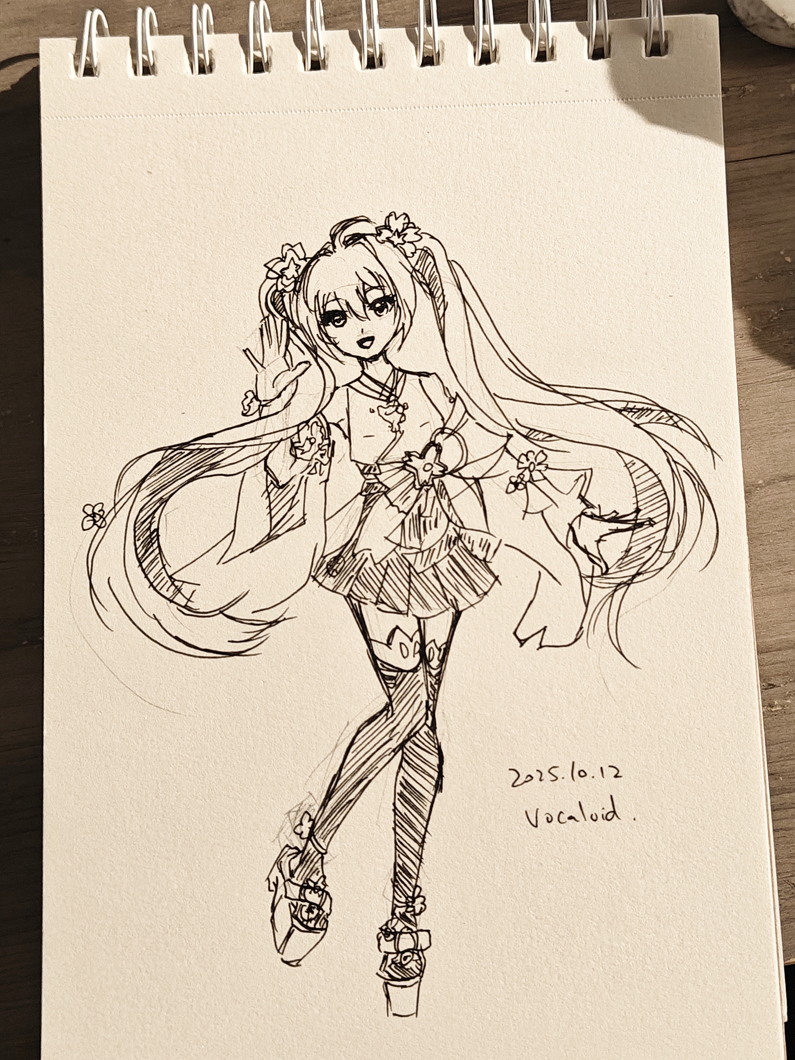 12_vocaloid