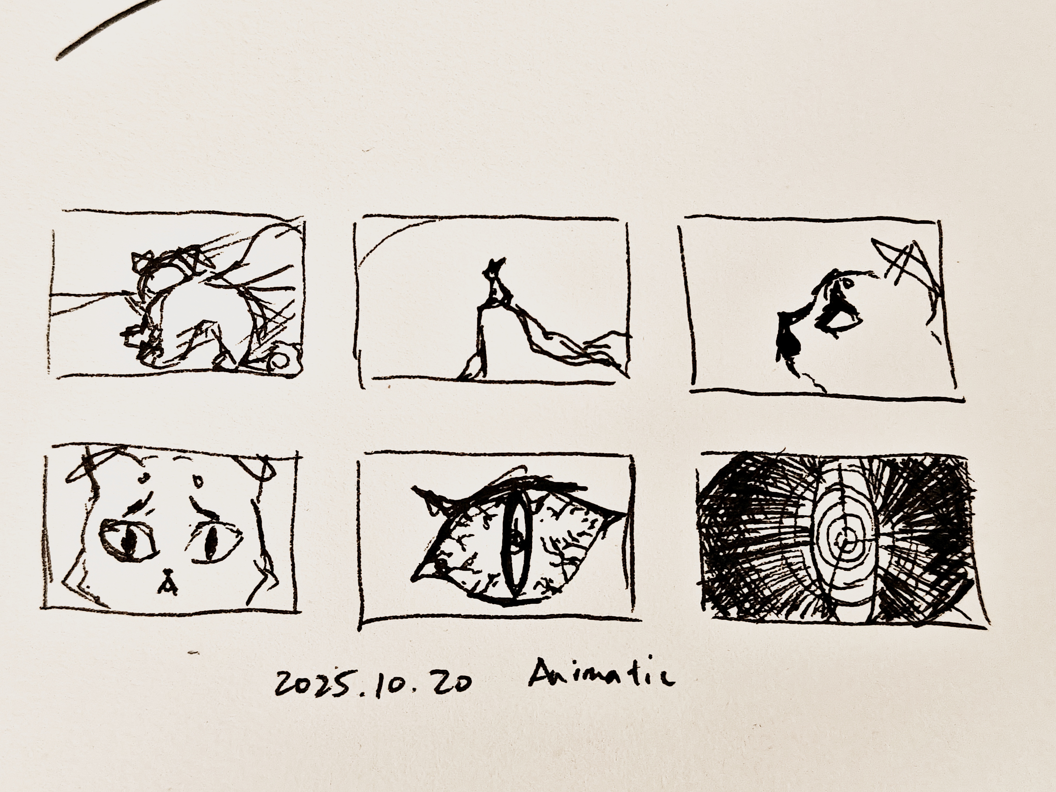 21